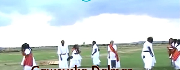 dhaanto